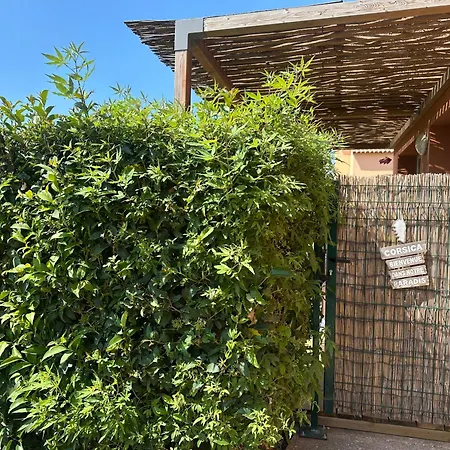 Mini 4-6 Pers. Les Hameaux De Saint Cyprien Lecci